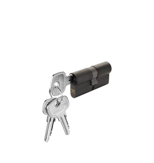 Ruột khóa cửa đi Hafele màu Graphite Black  916.63.900